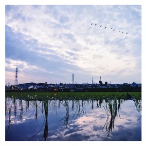 长泽梓看见梦遗精瞬间
